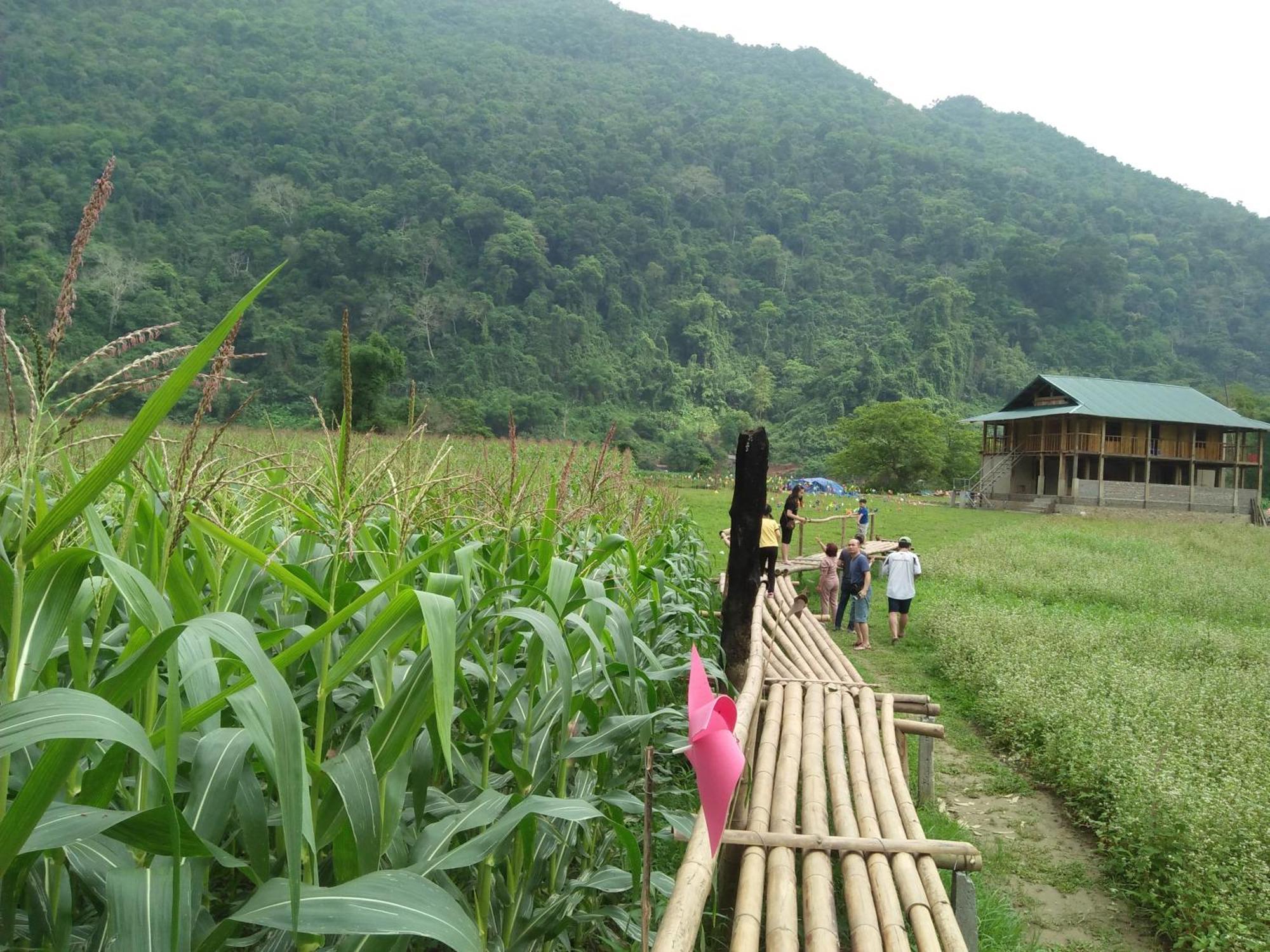 Tran Xuan Homestay Ba Be Esterno foto